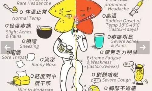 纤盈力是正规品牌吗-【纤盈力是正规品牌吗】纤盈力是正规品牌吗 - 纤盈御露功效网