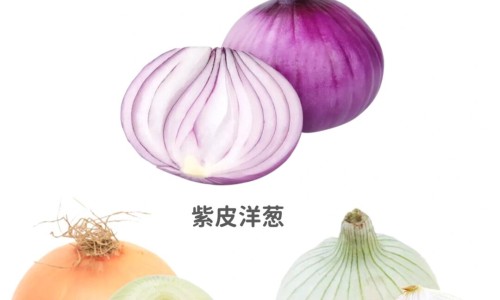 【纤盈力是正规品牌吗】纤盈力是正规品牌吗 - 纤盈御露功效网