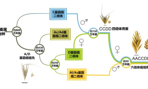 纤盈力是正规品牌吗-【纤盈力是正规品牌吗】纤盈力是正规品牌吗 - 纤盈御露功效网